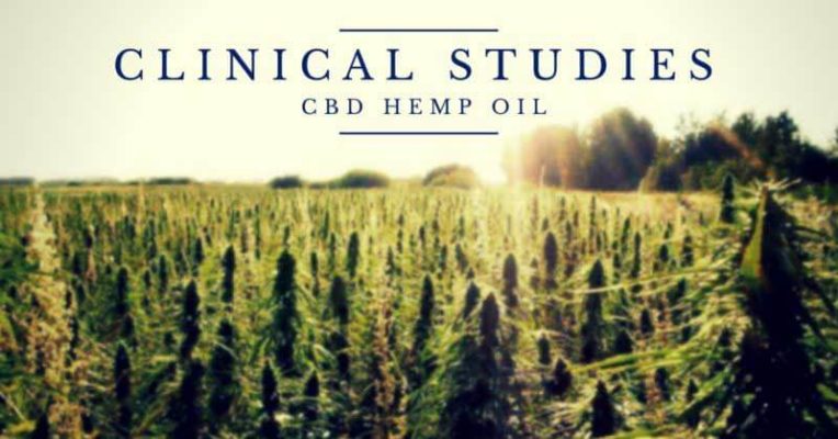 5 Incredible New Studies on CBD You Need to Hear About